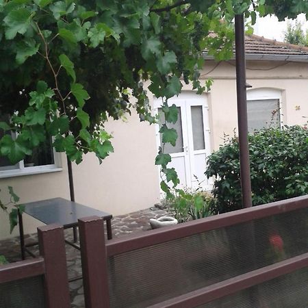 Pensiunea Casa Didina Bacău Exterior foto