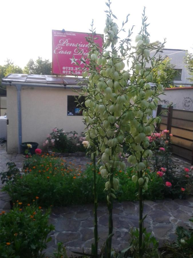 Pensiunea Casa Didina Bacău Exterior foto