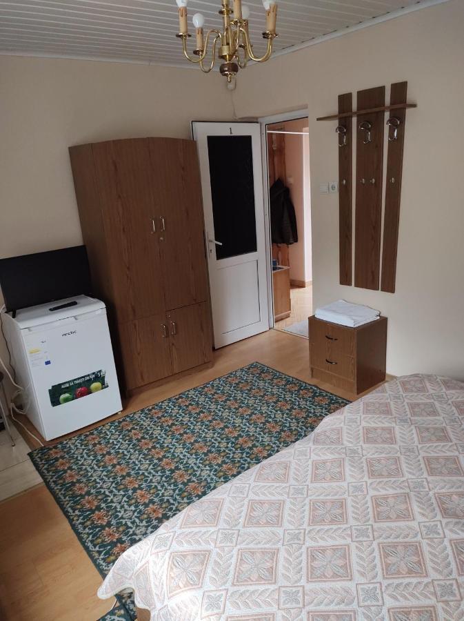 Pensiunea Casa Didina Bacău Exterior foto